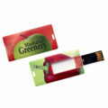 Chiavetta USB Card Mini - Express 48h