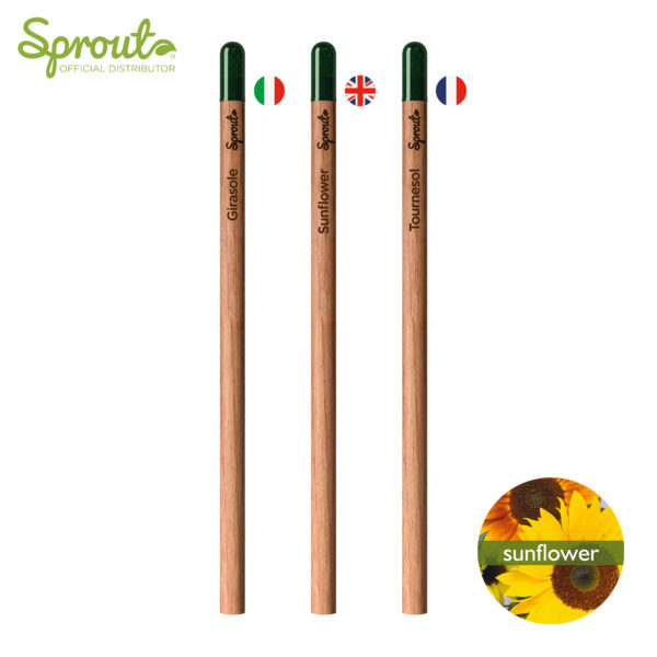 Matita personalizzata semi piantabili gadget personalizzato