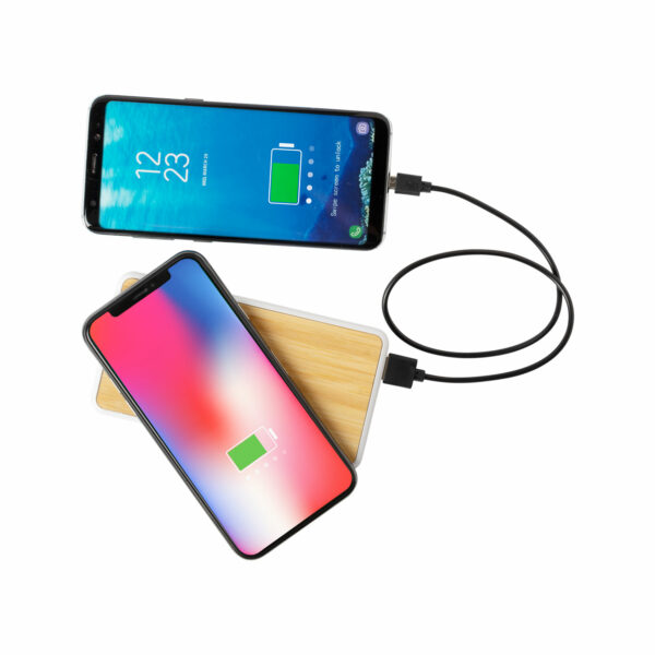 Power Bank Station Con Cavo Usb